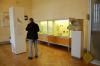 Roemisch-Germanisches-Zentralmuseum-Mainz-2015-151025-DSC_0181.jpg