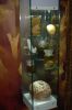 Venedig-Naturhistorisches-Museum-150728-DSC_0548.JPG