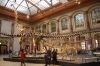 NaturkundeMuseum-Berlin-Rundgang-2016-160121-DSC_0144_0223_0223.jpg