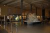 NaturkundeMuseum-Berlin-Rundgang-2016-160121-DSC_0176_0328.jpg